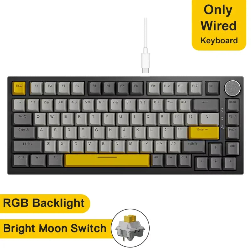 AJAZZ AK820 Wired Mechanical Keyboard Full-Key Hot-Swap Keyboard with Removable USB Port, White & Ice Blue Backlit Gaming Keyboard for PC
