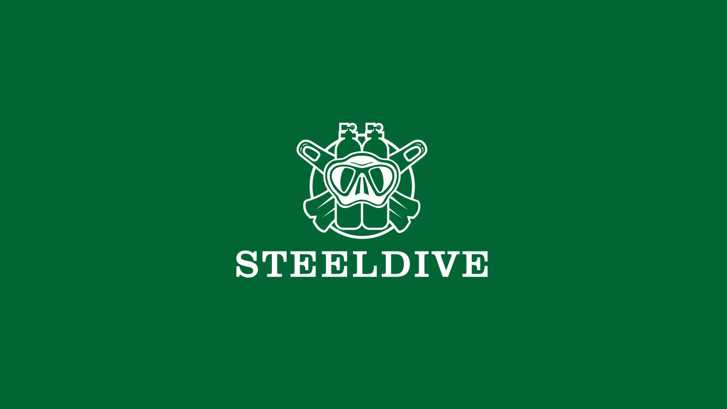Steeldive SD1973 Men's watch Dive Watch Automatic Mechanical Men's watch NH35 Bracelet 41mm  Diver watch men watches