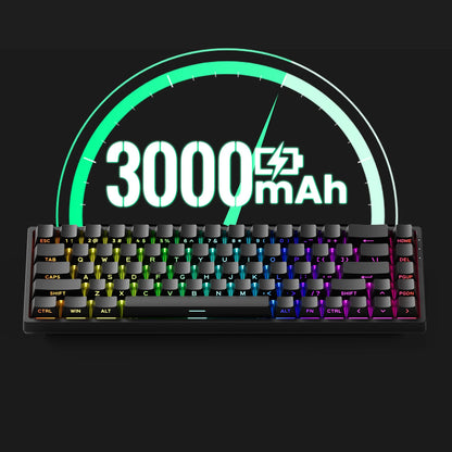 Akko MonsGeek FUN68 HE Magnetic Keyboard 65% Rapid Trigger 0.005mm 8000Hz ARGB USB/Wireless Gaming Custom Keyboard for Gamer