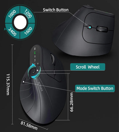 Ergonomische 2.4GHz Wireless BT RGB-Maus, Dual-Mode, für Laptop, Desktop und Büro, leise kabellose vertikale Gaming-Maus