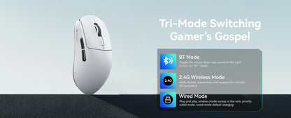 Attack Shark R6 leichte kabellose Gaming-Maus, Computermaus mit PAW 3950Max-Sensor, Nordic 52480 und 8KHz Polling