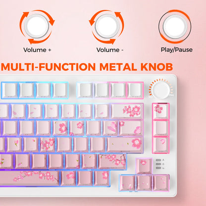 DAREU Tri-mode Gasket Mechanical Keyboard N-Key Rollover Anti-ghosting RGB Backlight Dream switch with Multi Media Button