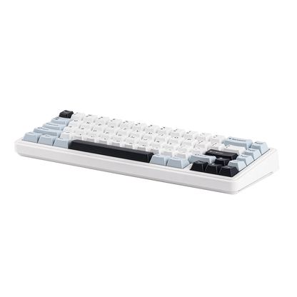 EPOMAKER x AULA F65 65% Layout Wired/Bluetooth 5.0/2.4G Wireless Hot-Swap Gasket-mounted Mechanical Gaming Keyboard for Mac/Win