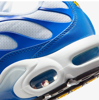 Nike Authentic Air Max Plus Men's Air Cushion Cushioned Casual Shoes DM0032-107