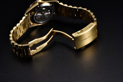 PAGANI DESIGN New DD36 Rose Gold Luxury Automatic Mechanical Watch For Men ST16 100M Waterproof AR Sapphire Glass Wristwatch Men